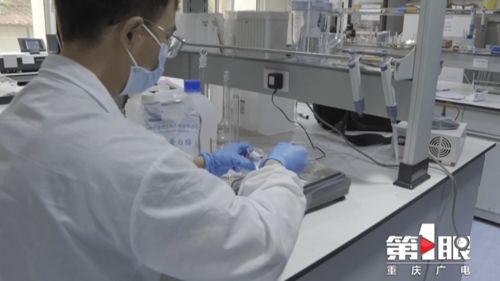 鄭州軟件開發實驗室創新研發 巴適精品綠色毛肚，引領健康美食新潮流